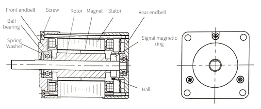 Structure of brushless DC motor