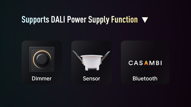 Supports DALI Power Supply Function