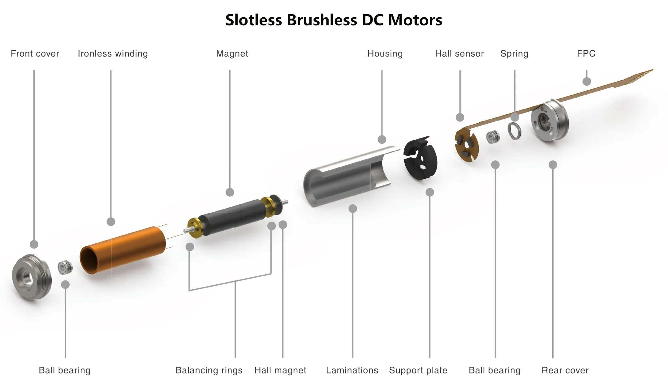 Slotless Brushless DC Motors Structure