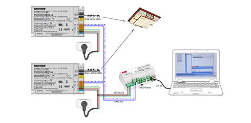 DALI DT6 Wire Connecting