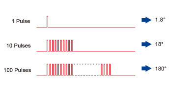 The length of Rotation is Proportional to the Number of Pulses